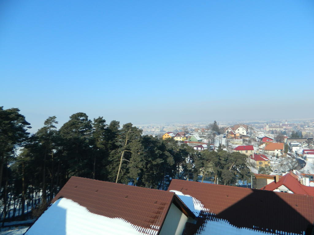Guest house Pensiunea Riunione 3*