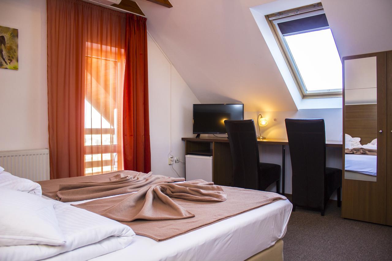 Guest house Pensiunea Riunione